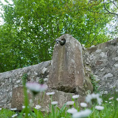Casa Hortensias Dağ evi Llanes