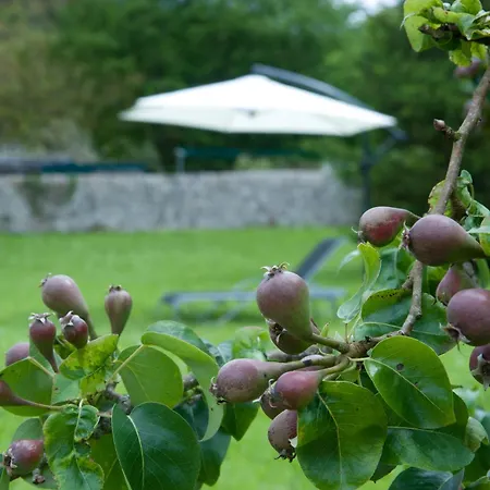 Casa Hortensias Domek alpejski Llanes