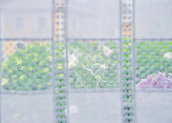 Casa Hortensias * Llanes