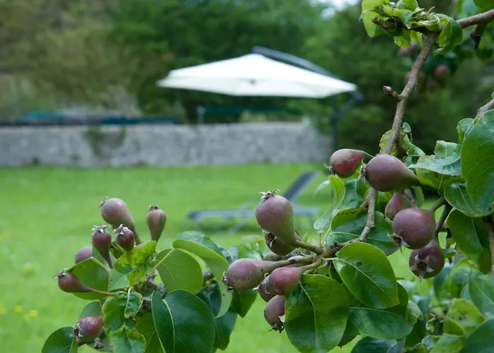 Casa Hortensias Chalet Llanes