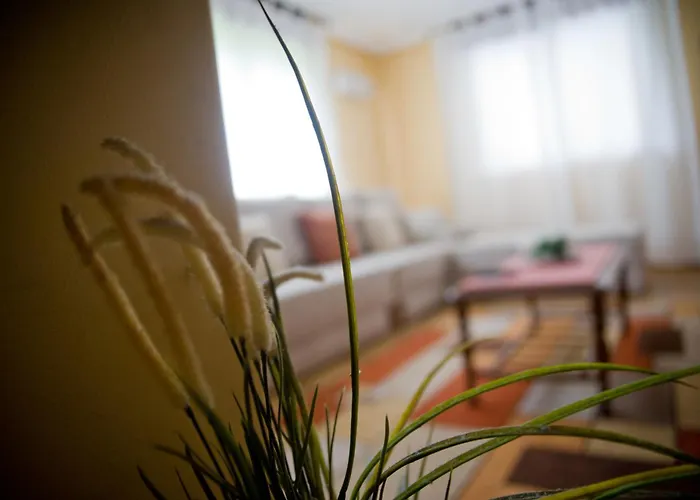 Casa Hortensias * Llanes